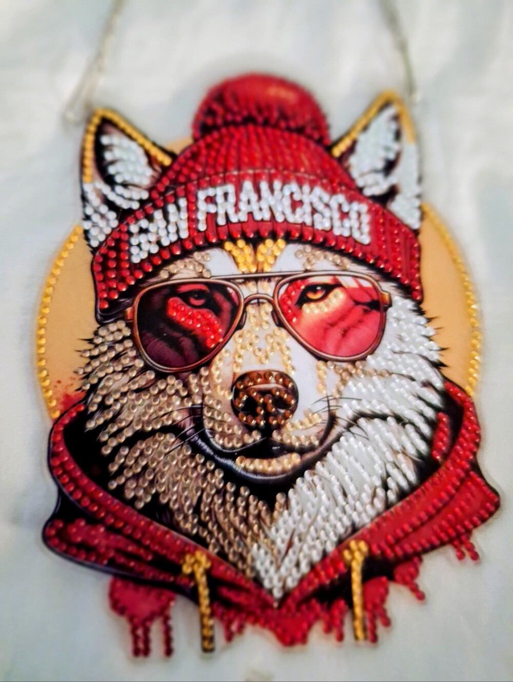 49er Diamond Art Hanger